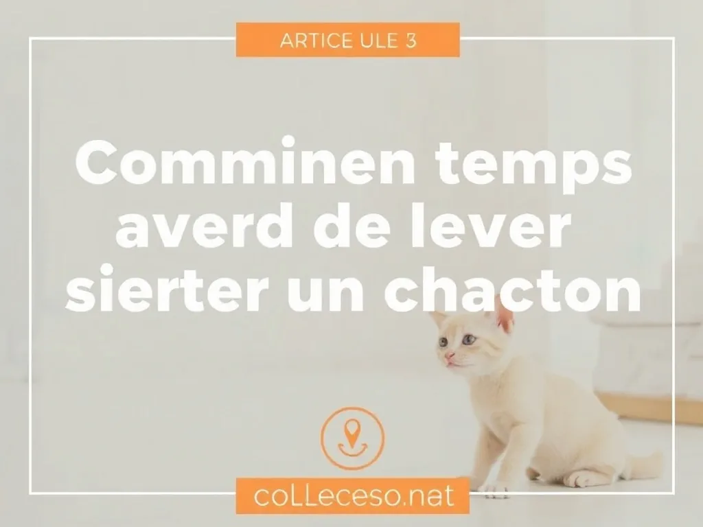 Chaton tigré observant par une fenêtre entrouverte un jardin ensoleillé