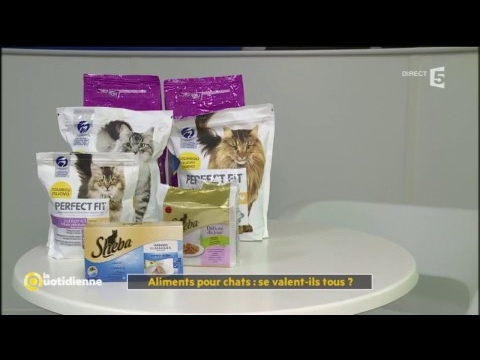 Les Meilleures Croquettes Pour Chats Comparatif En 21 Les Meilleures Croquettes Pour Chats Comparatif En 21