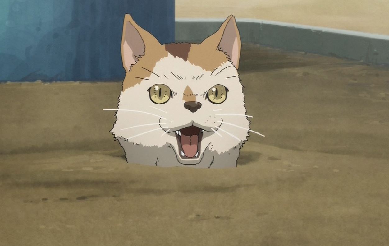 les chats dans les animés et mangas japonais