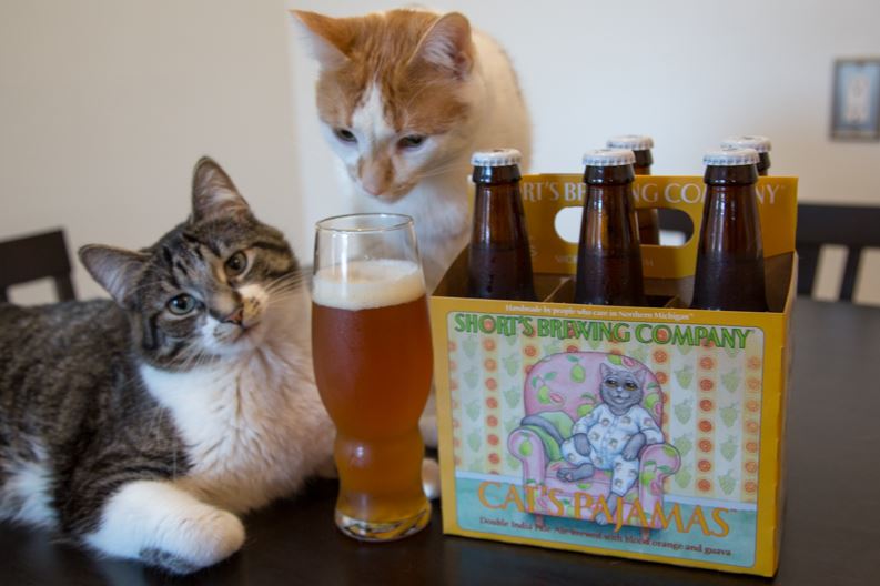 les chats peuvent ils boire de la bière