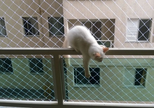 filet de protection balcon pour chat